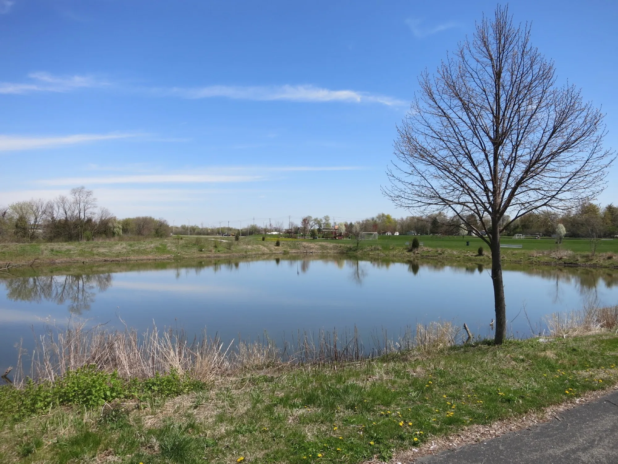 Red Hawk Park