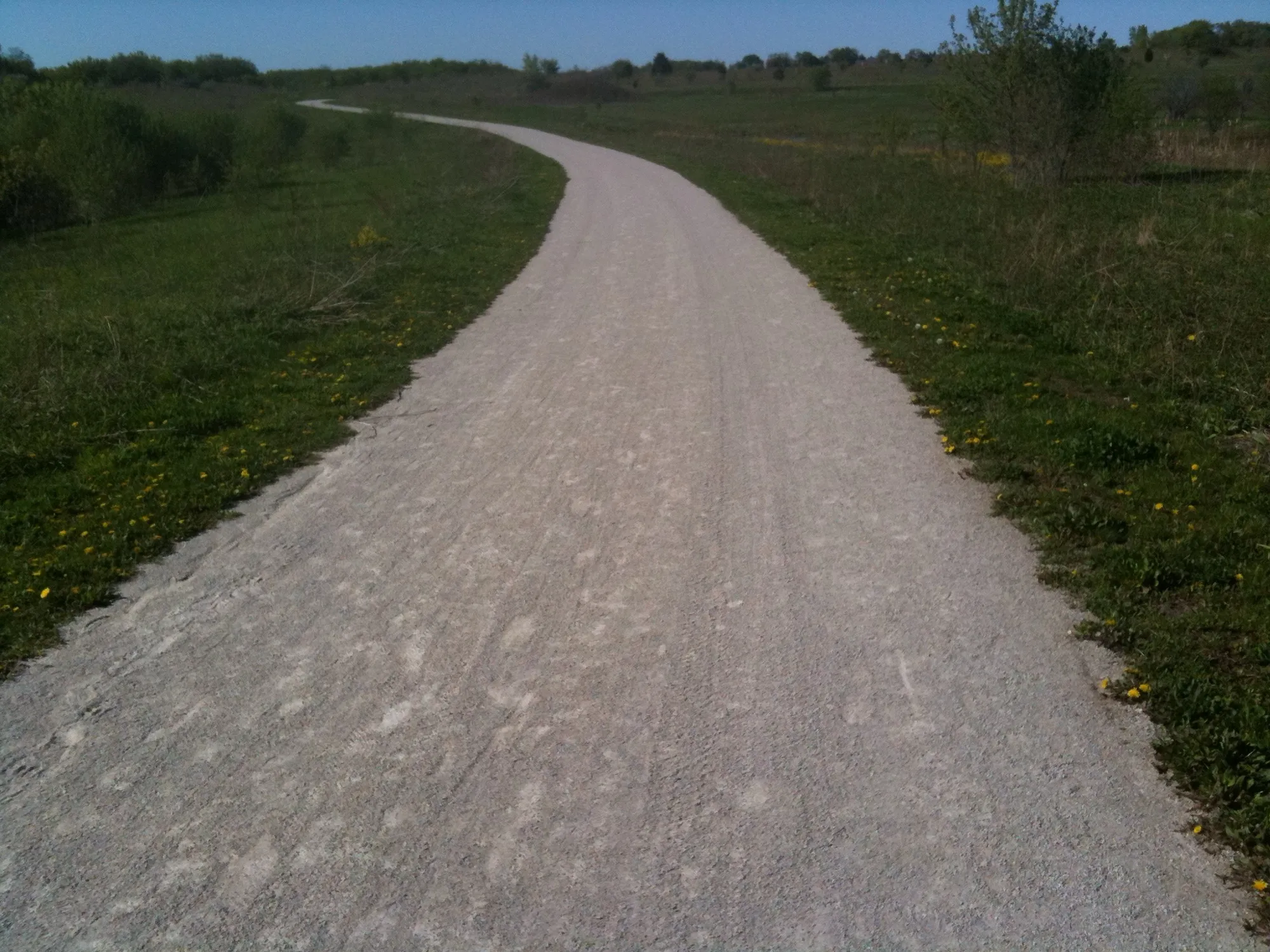West Branch Forest Preserve